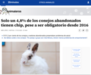 Abandono de conejos y roedores en Madrid